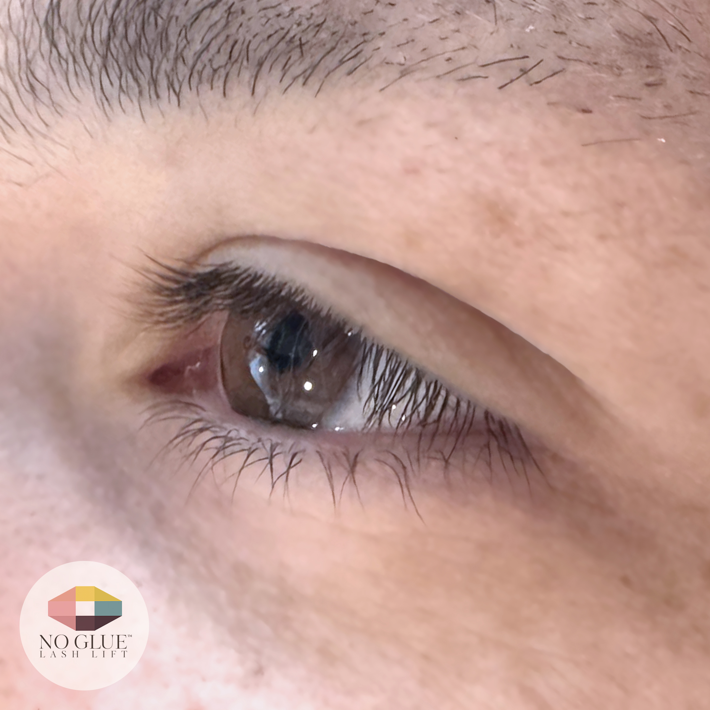 Before — Korean No-Glue Lash Lift